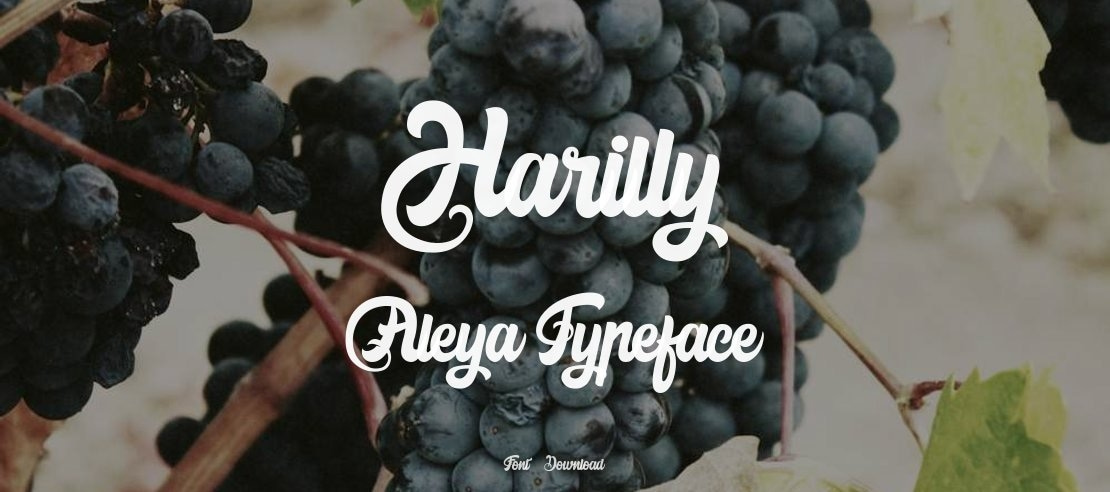 Harilly Aleya Font