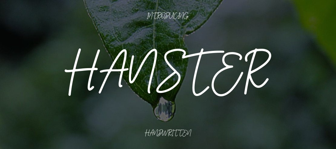 Hanster Font