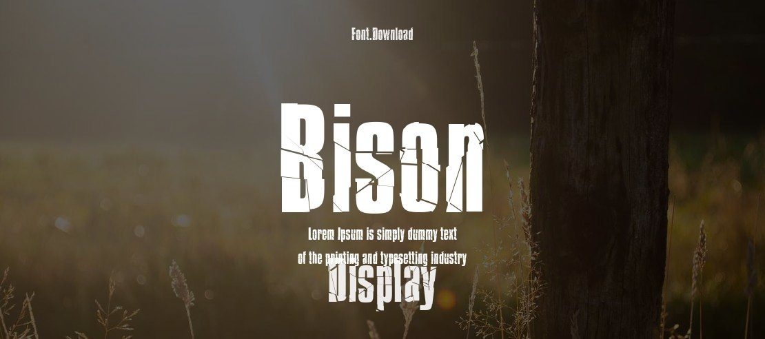 Bison Font