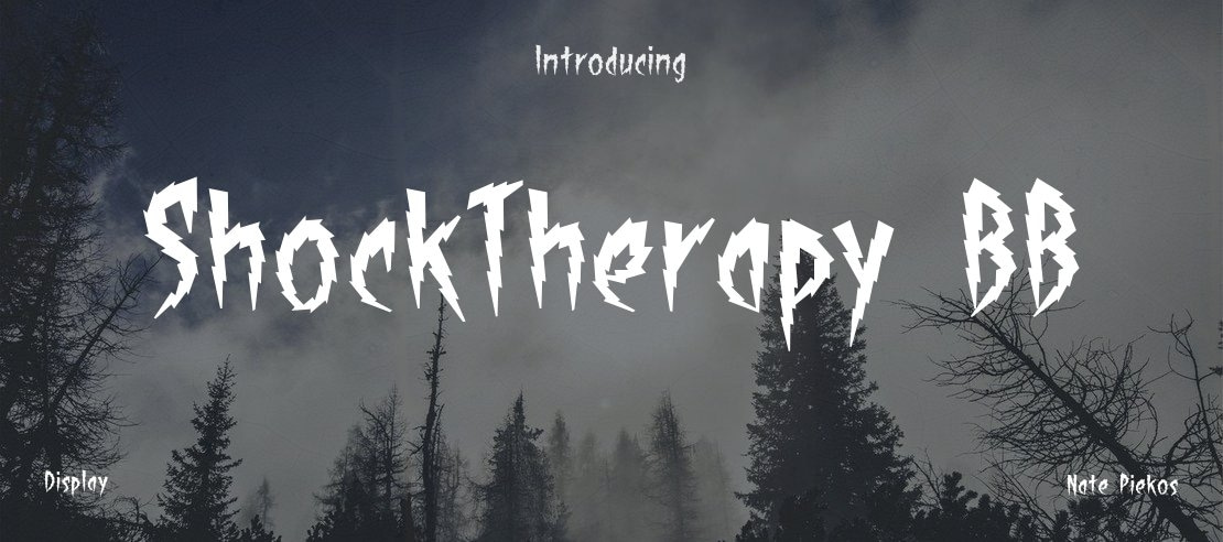 ShockTherapy BB Font Family