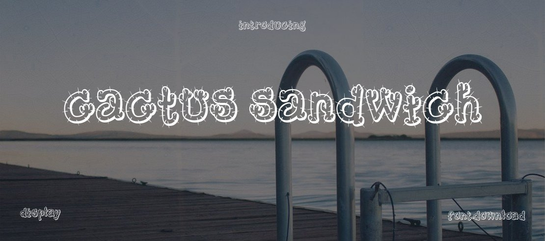 Cactus Sandwich Font Family