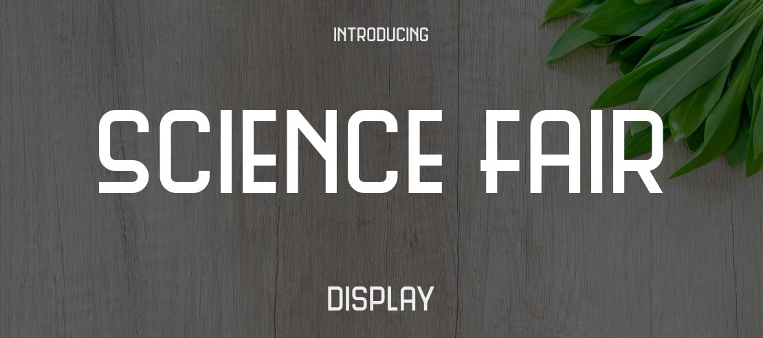 Science Fair Font Family