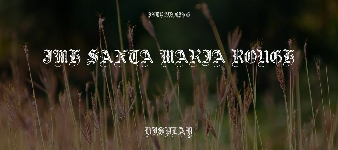 JMH Santa Maria Rough Font Family