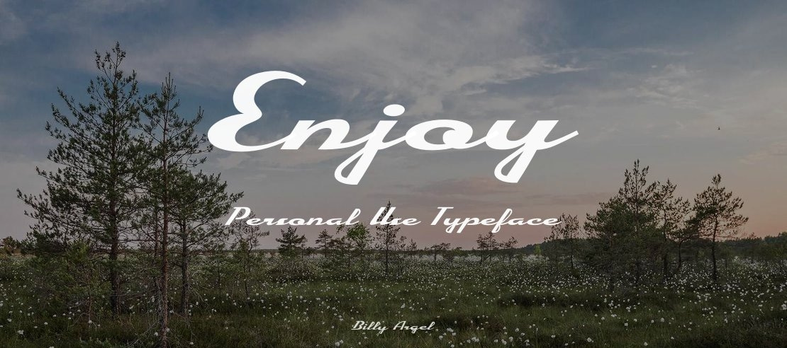 Enjoy Personal Use Font