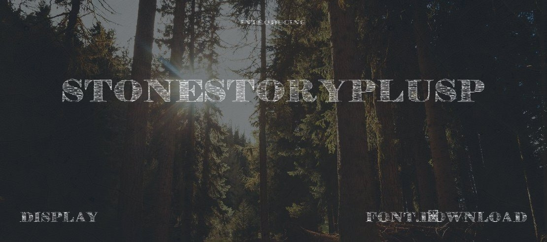 StoneStoryPlusP Font