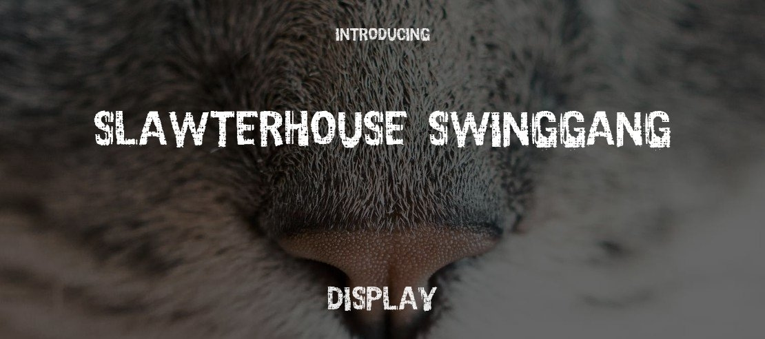 Slawterhouse Swinggang Font