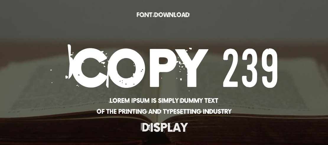 Copy 239 Font