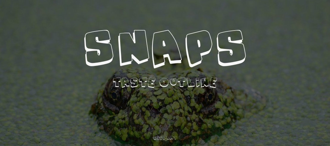 Snaps Taste Outline Font Family