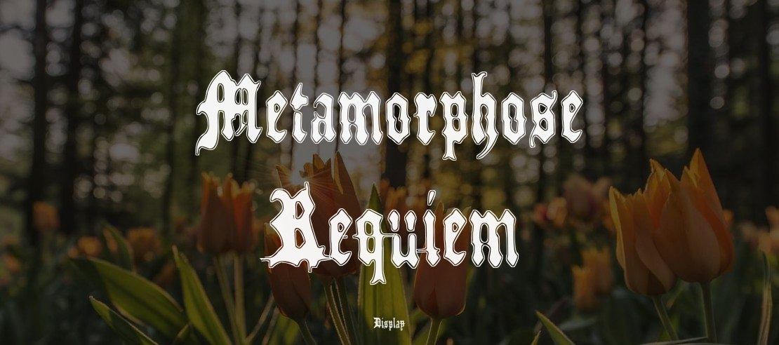 Metamorphose Requiem Font