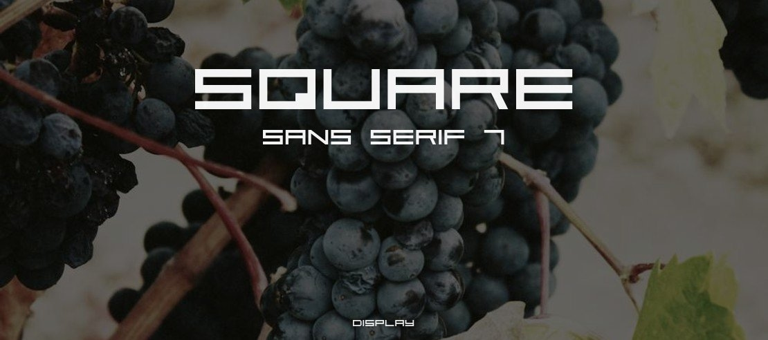 Square Sans Serif 7 Font