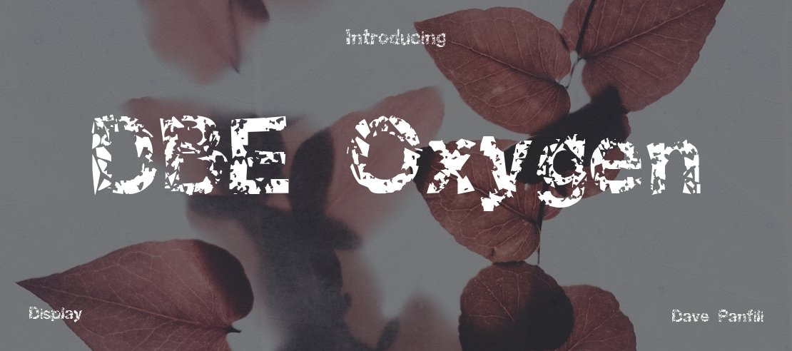 DBE Oxygen Font