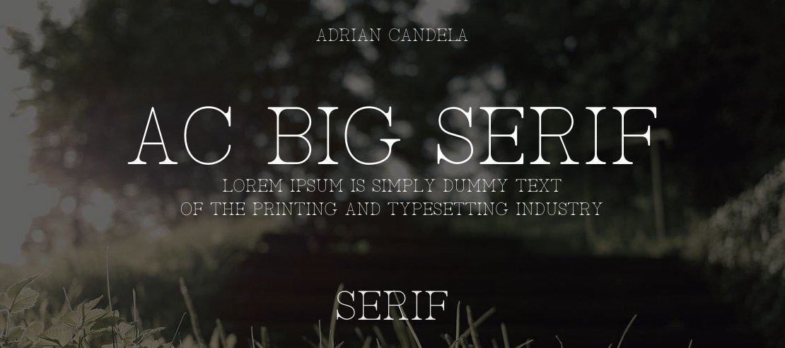 AC Big Serif Font Family