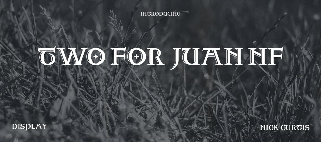 Two For Juan NF Font