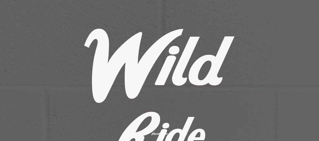 Wild Ride Font Family