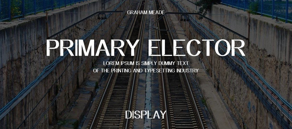 Primary Elector Font Family