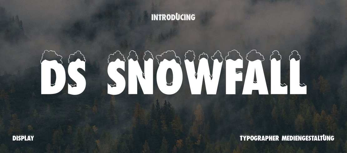 DS Snowfall Font