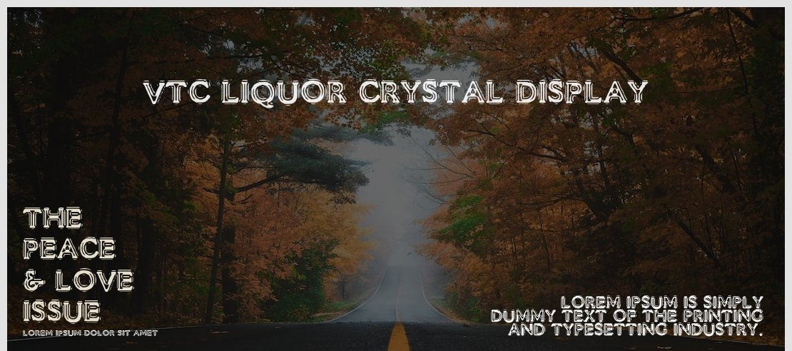 VTC Liquor Crystal Display Font