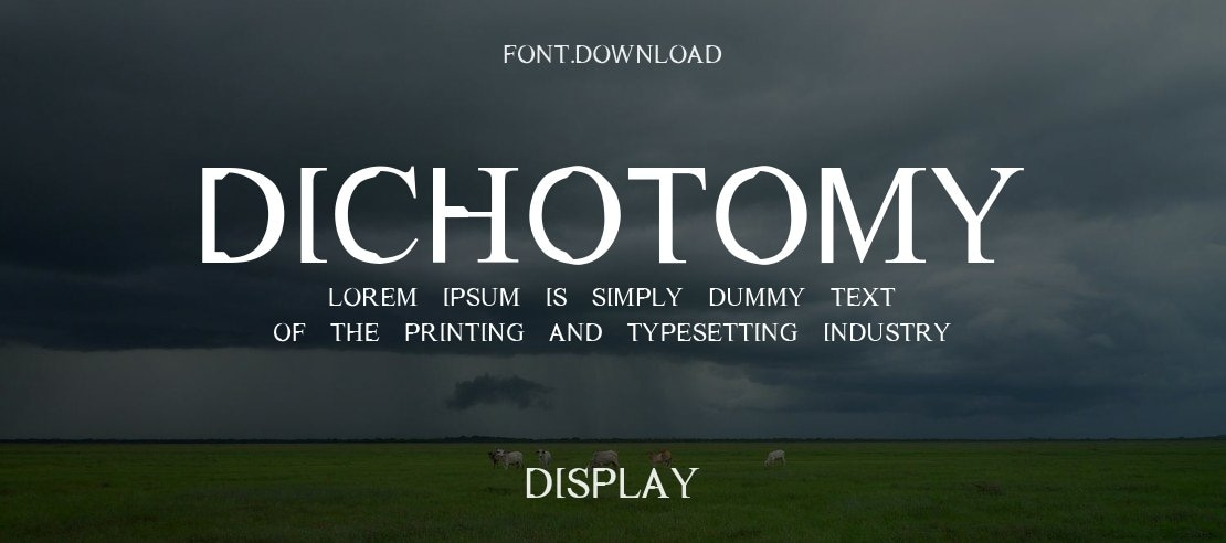 Dichotomy Font