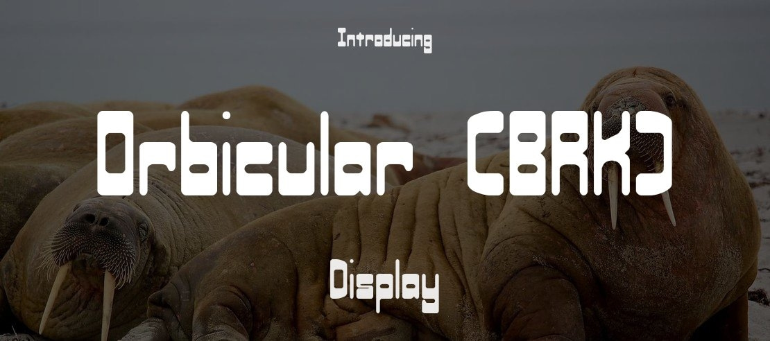 Orbicular (BRK) Font