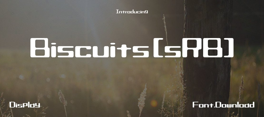 Biscuits (sRB) Font