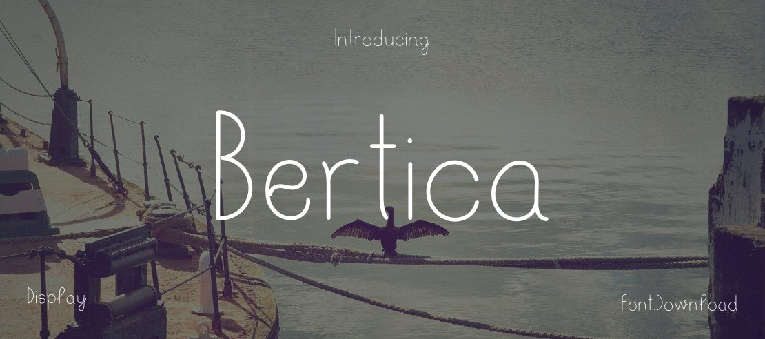 Bertica Font Family