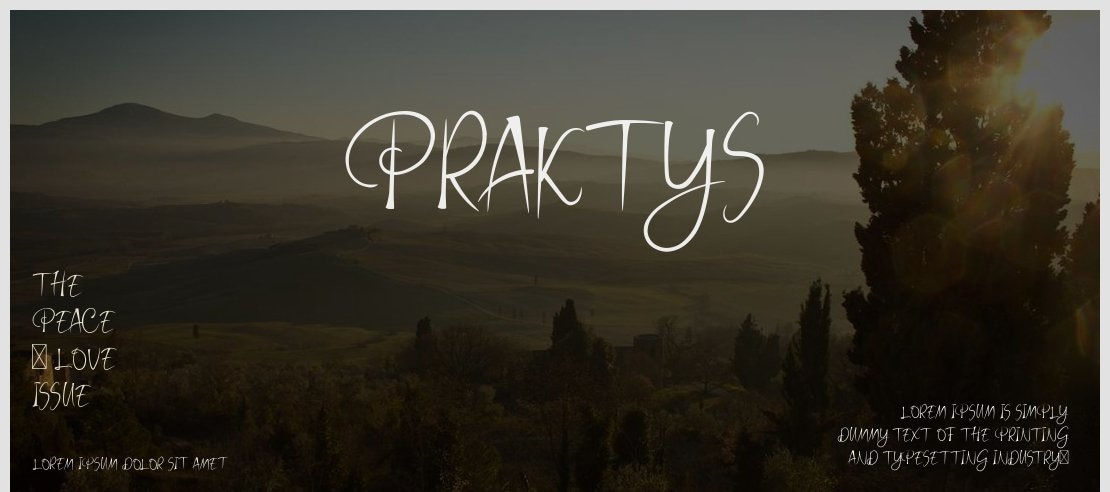 Praktys Font