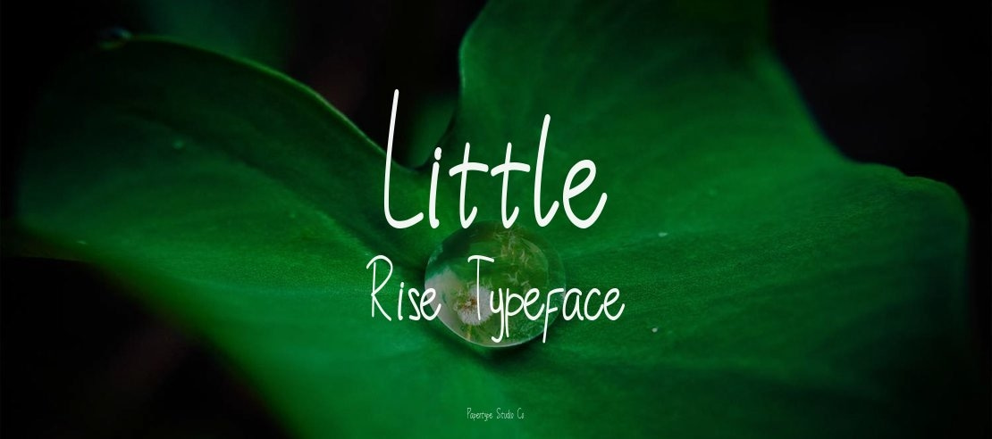 Little Rise Font