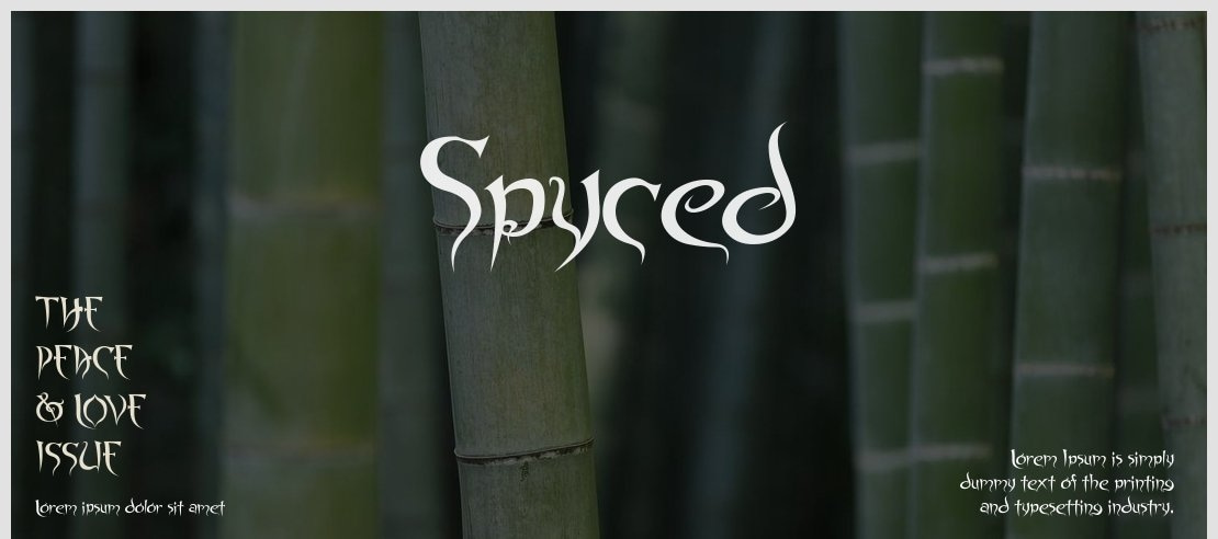 Spyced Font