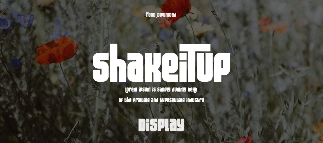 ShakeiTup Font