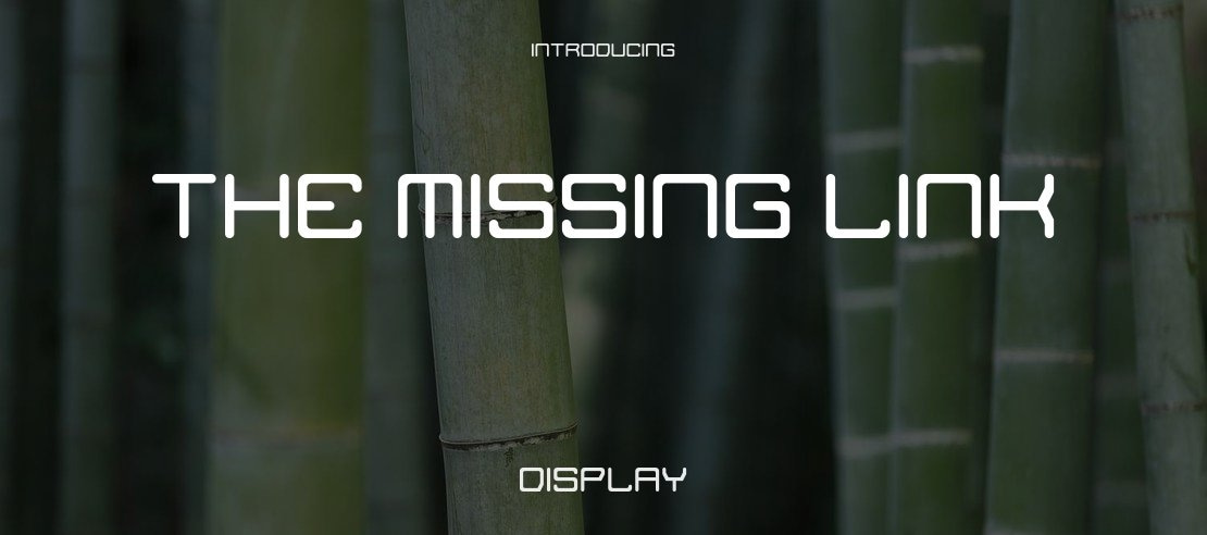 The Missing Link Font