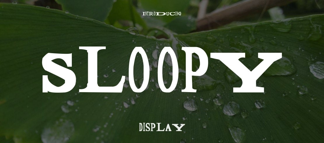 Sloopy Font