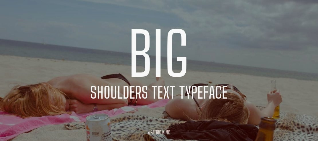 Big Shoulders Text Font Family