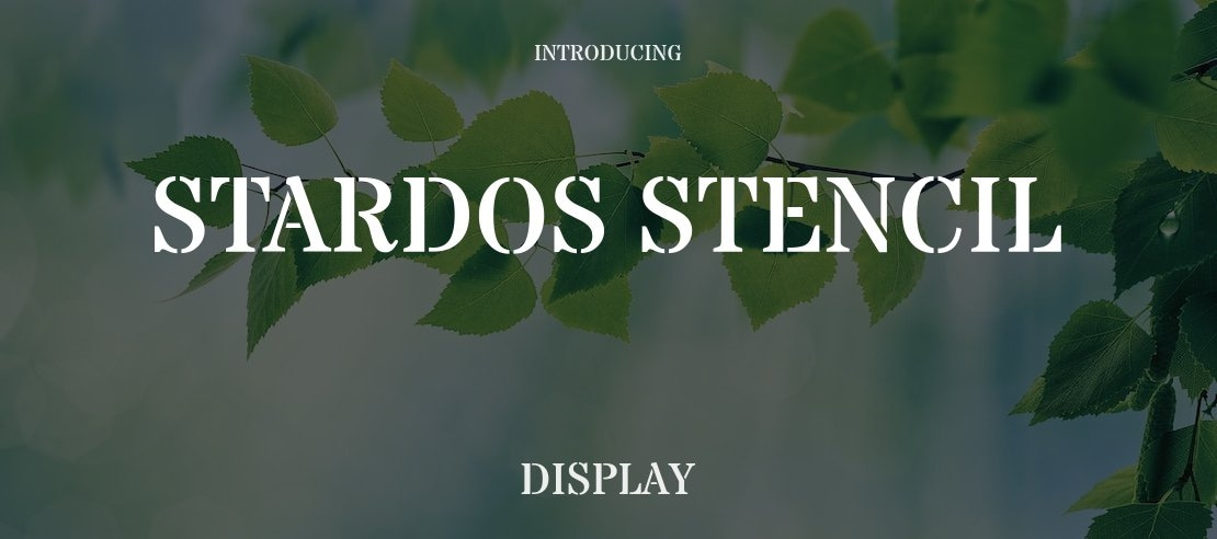 Stardos Stencil Font Family