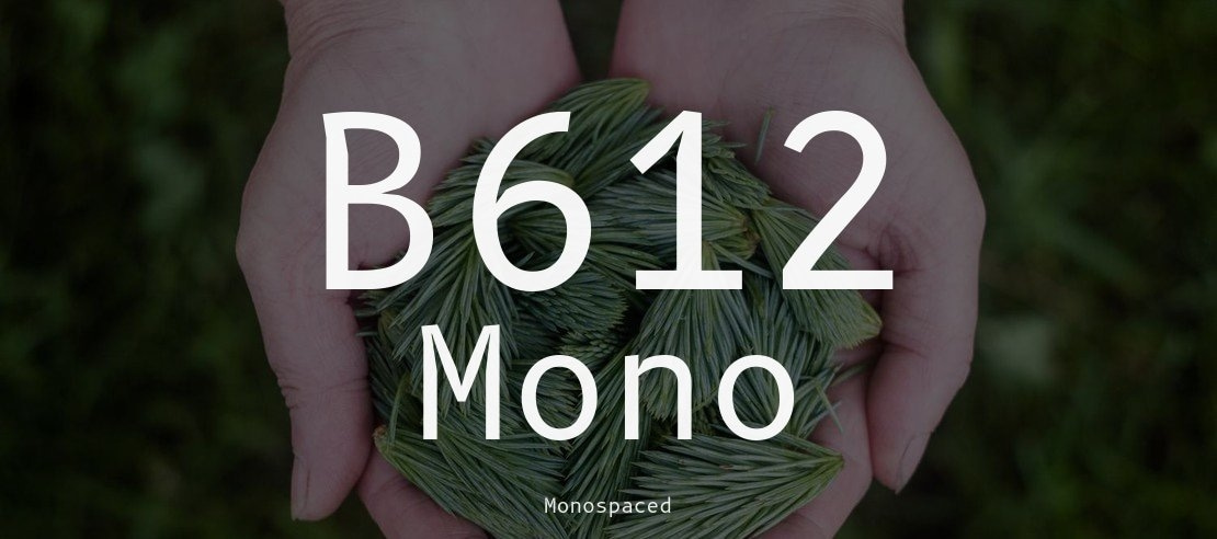 B612 Mono Font Family