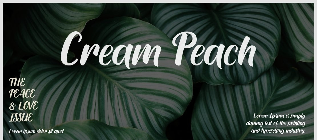 Cream Peach Font