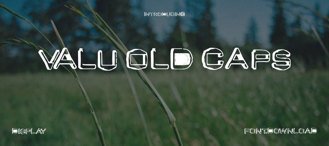 Valu Old Caps Font