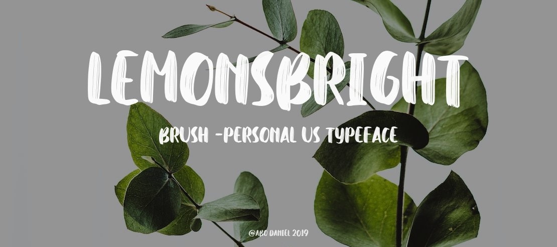 Lemonsbright brush -Personal Us Font