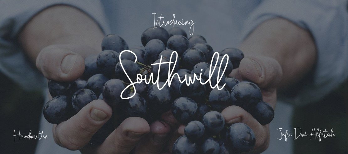 Southwill Font