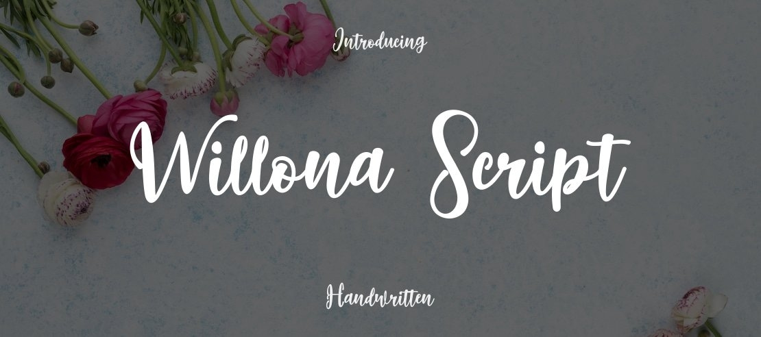 Willona Script Font