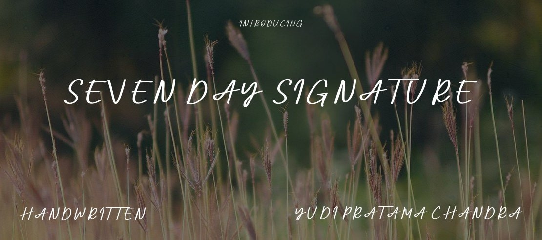 Seven Day Signature Font