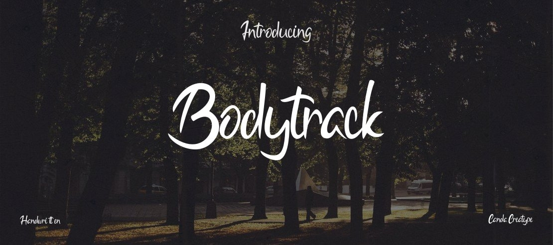 Bodytrack Font Family