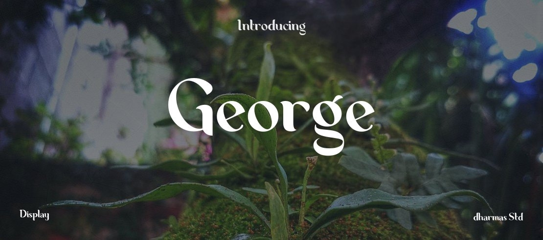 George Font