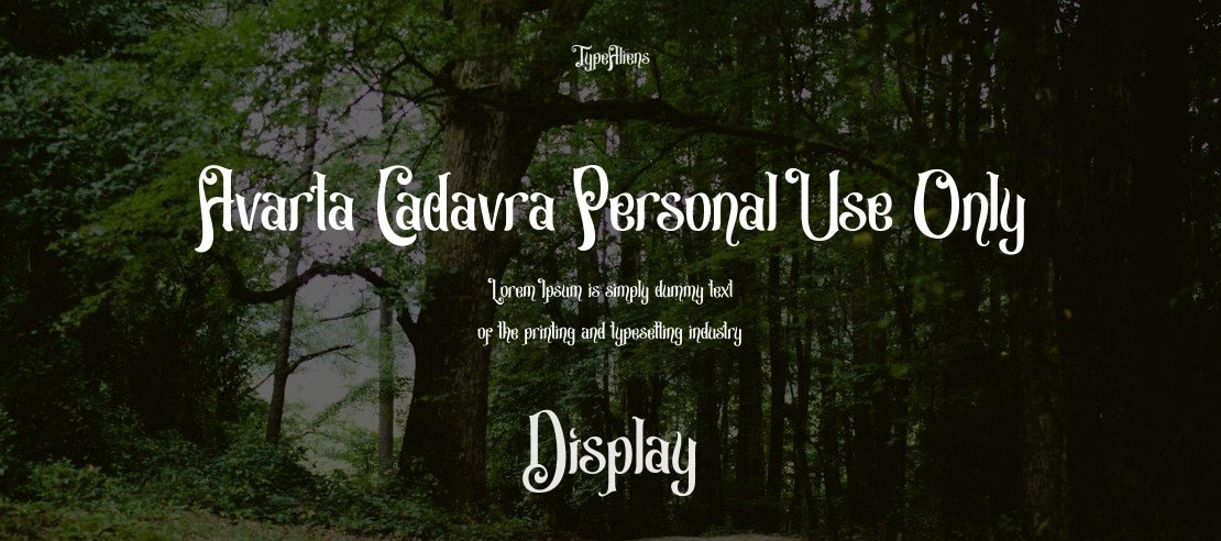 Avarta Cadavra Personal Use Only Font