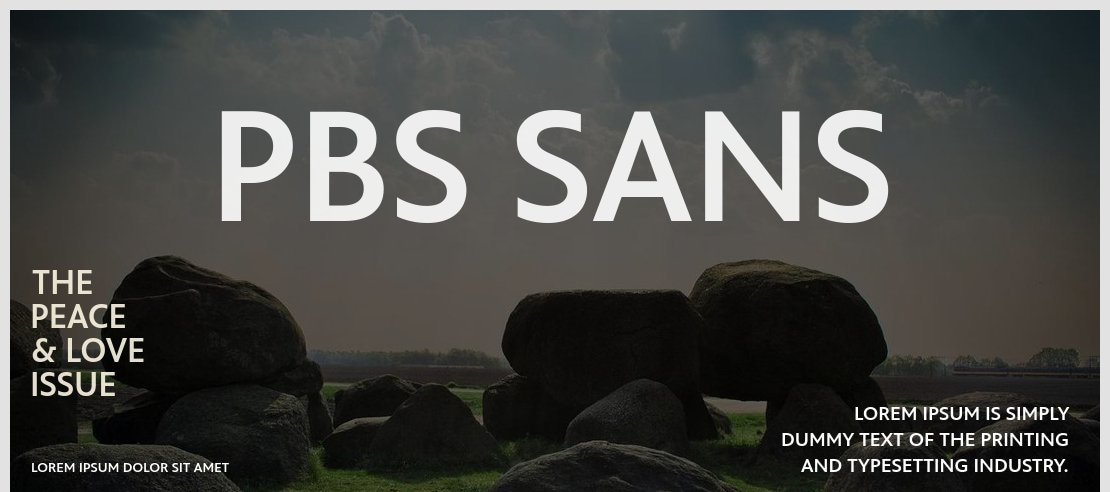 PBS Sans Font Family
