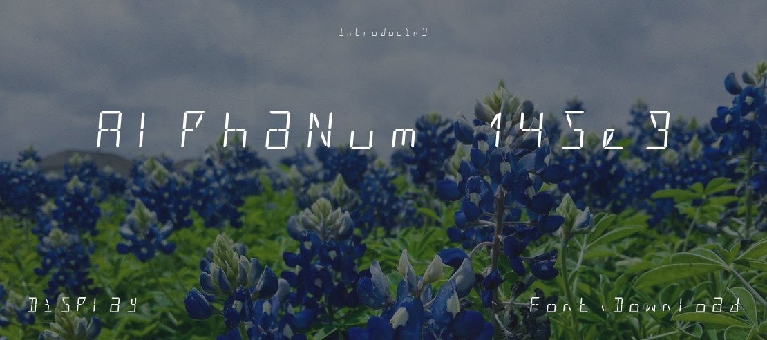 AlphaNum 14Seg Font