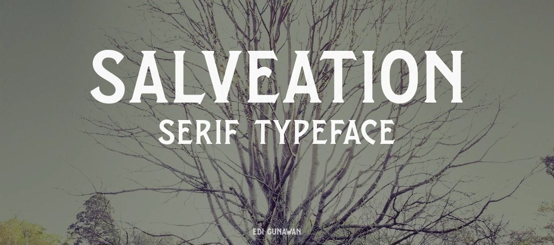 Salveation Serif Font