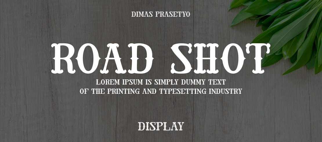 Road Shot Font