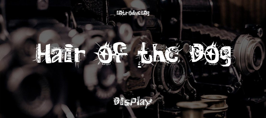 Hair of the Dog Font