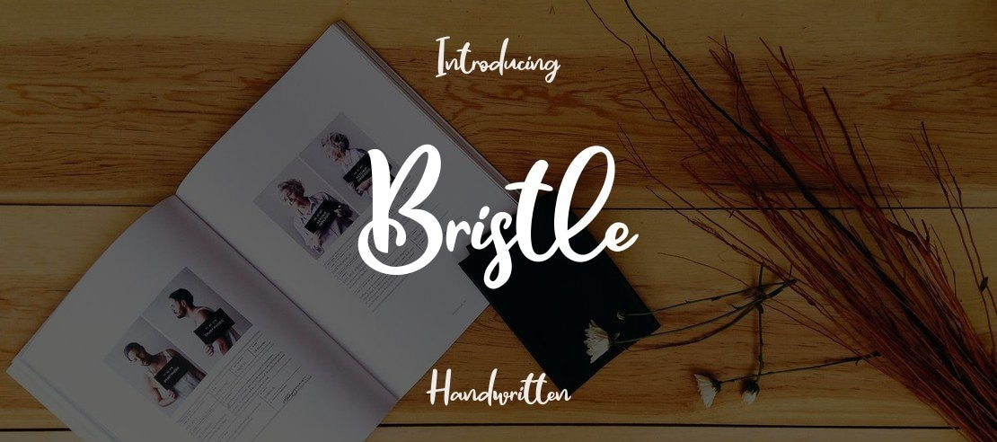 Bristle Font