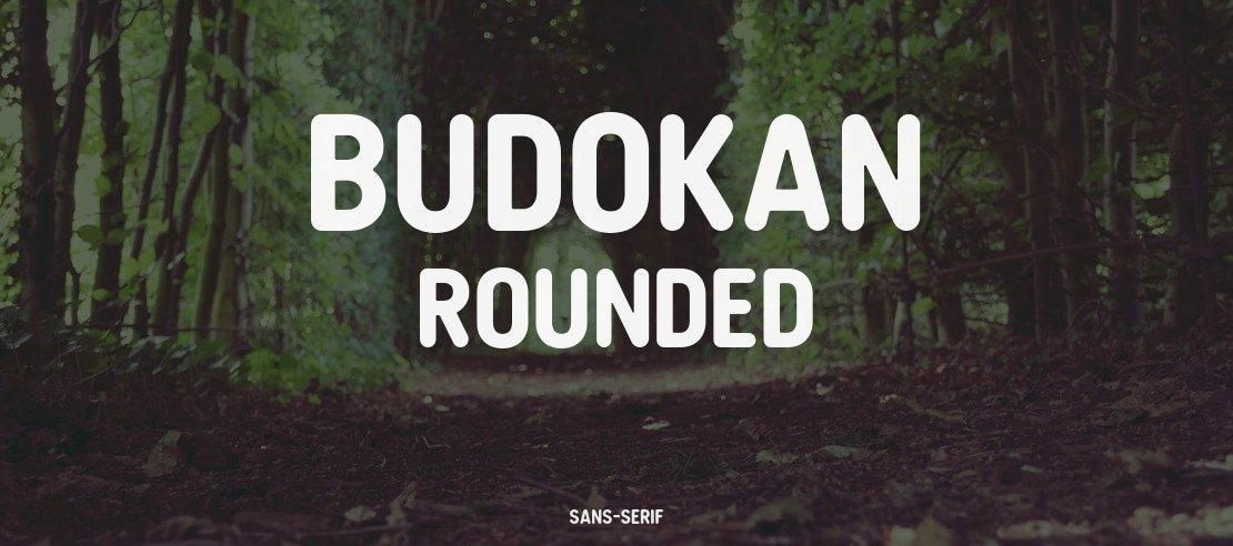 Budokan Rounded Font